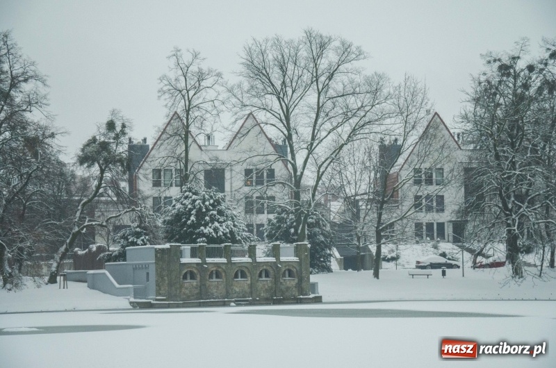 Zdjęcie w galerii na portalu naszraciborz.pl: Służby zapowiadają pierwsze tej zimy opady śniegu. Miasto przygotowane do akcji Zima wiadomości z regionu