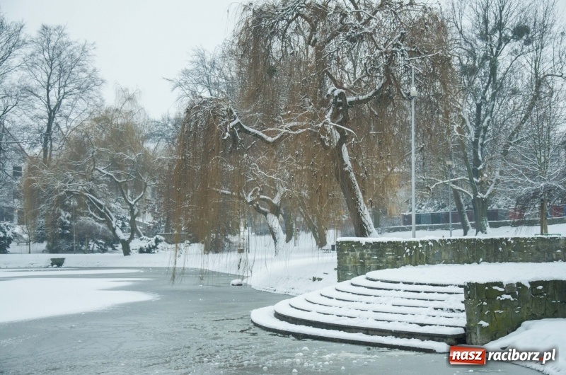 Zdjęcie w galerii na portalu naszraciborz.pl: Służby zapowiadają pierwsze tej zimy opady śniegu. Miasto przygotowane do akcji Zima wiadomości z regionu