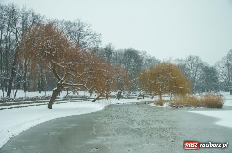 Zdjęcie w galerii na portalu naszraciborz.pl: Służby zapowiadają pierwsze tej zimy opady śniegu. Miasto przygotowane do akcji Zima wiadomości z regionu