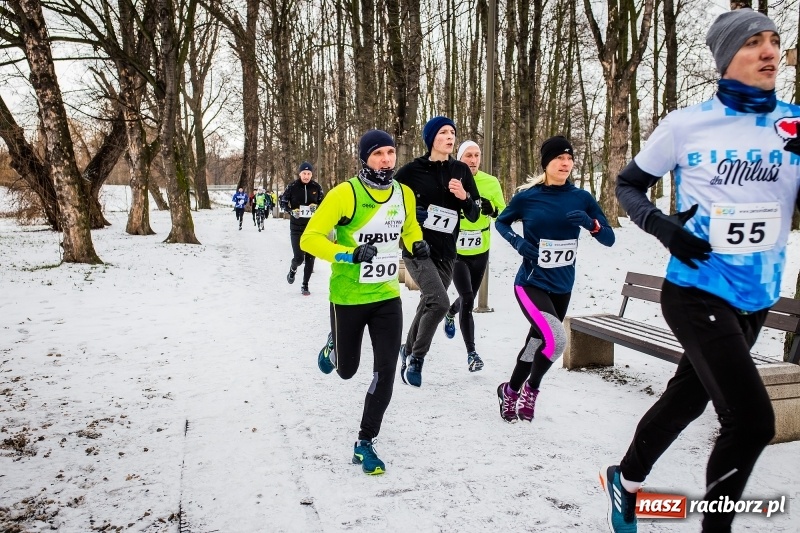 Zdjęcie w galerii na portalu naszraciborz.pl: Paweł Pac z Brzegu wygrał dziś V Bieg Nadodrzański w Raciborzu FOTO i WIDEO wiadomości z regionu
