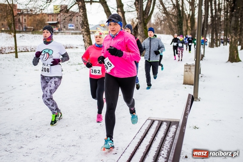 Zdjęcie w galerii na portalu naszraciborz.pl: Paweł Pac z Brzegu wygrał dziś V Bieg Nadodrzański w Raciborzu FOTO i WIDEO wiadomości z regionu