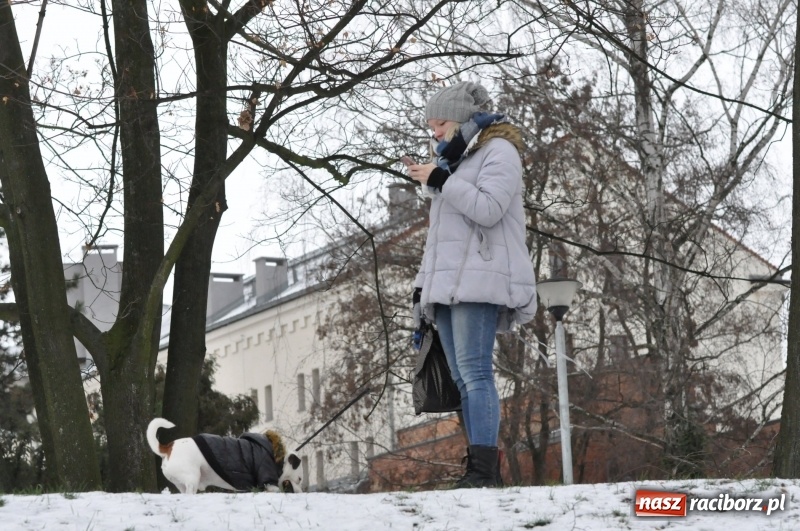 Zdjęcie w galerii na portalu naszraciborz.pl: Paweł Pac z Brzegu wygrał dziś V Bieg Nadodrzański w Raciborzu FOTO i WIDEO wiadomości z regionu