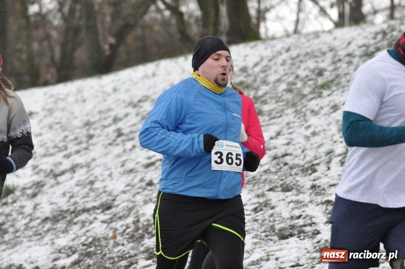 Zdjęcie w galerii na portalu naszraciborz.pl: Paweł Pac z Brzegu wygrał dziś V Bieg Nadodrzański w Raciborzu FOTO i WIDEO wiadomości z regionu