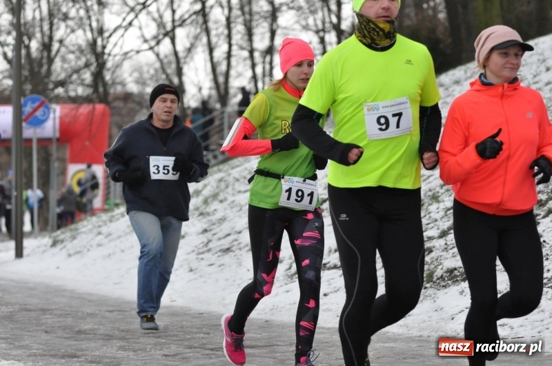 Zdjęcie w galerii na portalu naszraciborz.pl: Paweł Pac z Brzegu wygrał dziś V Bieg Nadodrzański w Raciborzu FOTO i WIDEO wiadomości z regionu