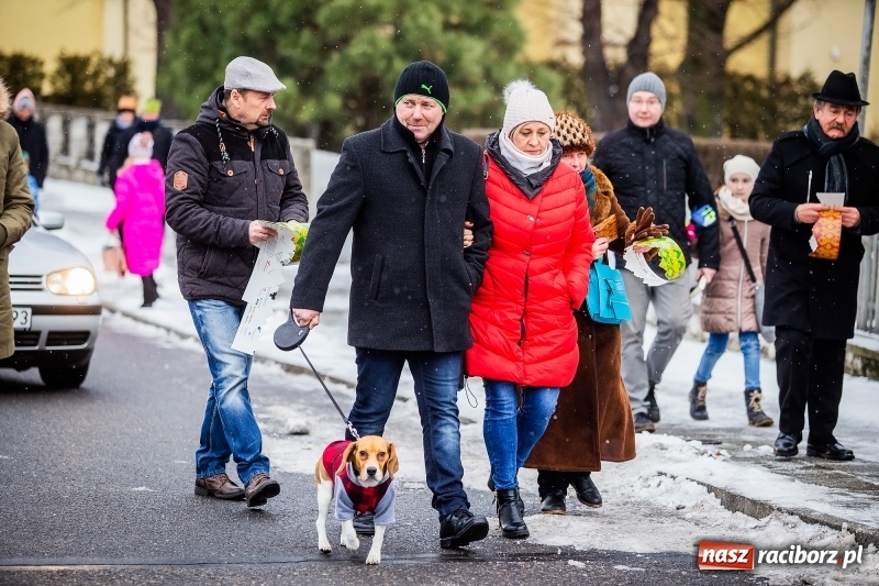 Zdjęcie w galerii na portalu naszraciborz.pl: Raciborski Orszak Trzech Króli tym razem miał trzy strumienie WIDEO wiadomości z regionu