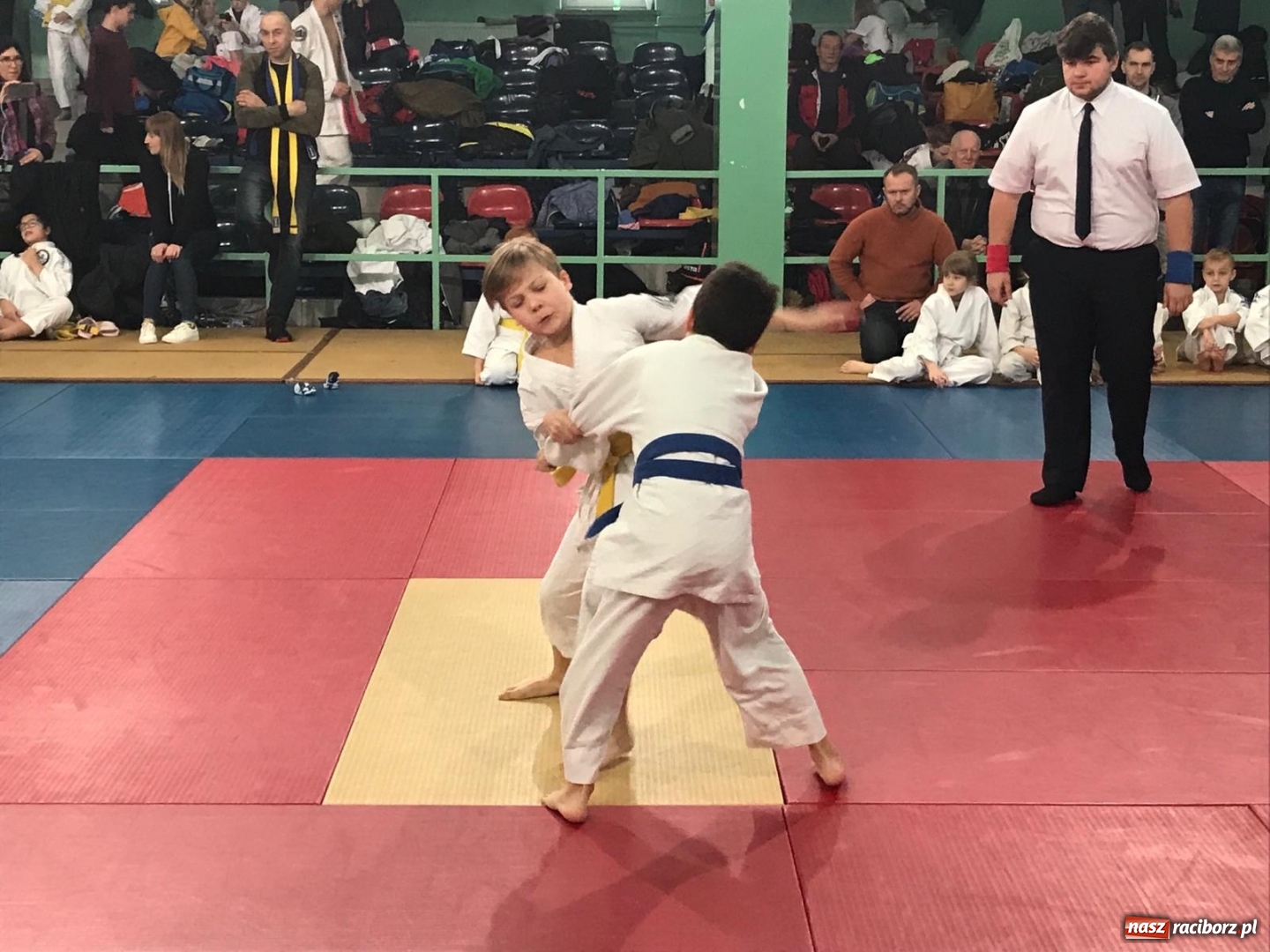 Zdjęcie w galerii na portalu naszraciborz.pl: Dziewięć medali Łamatorów w Mysłowicach wiadomości z regionu