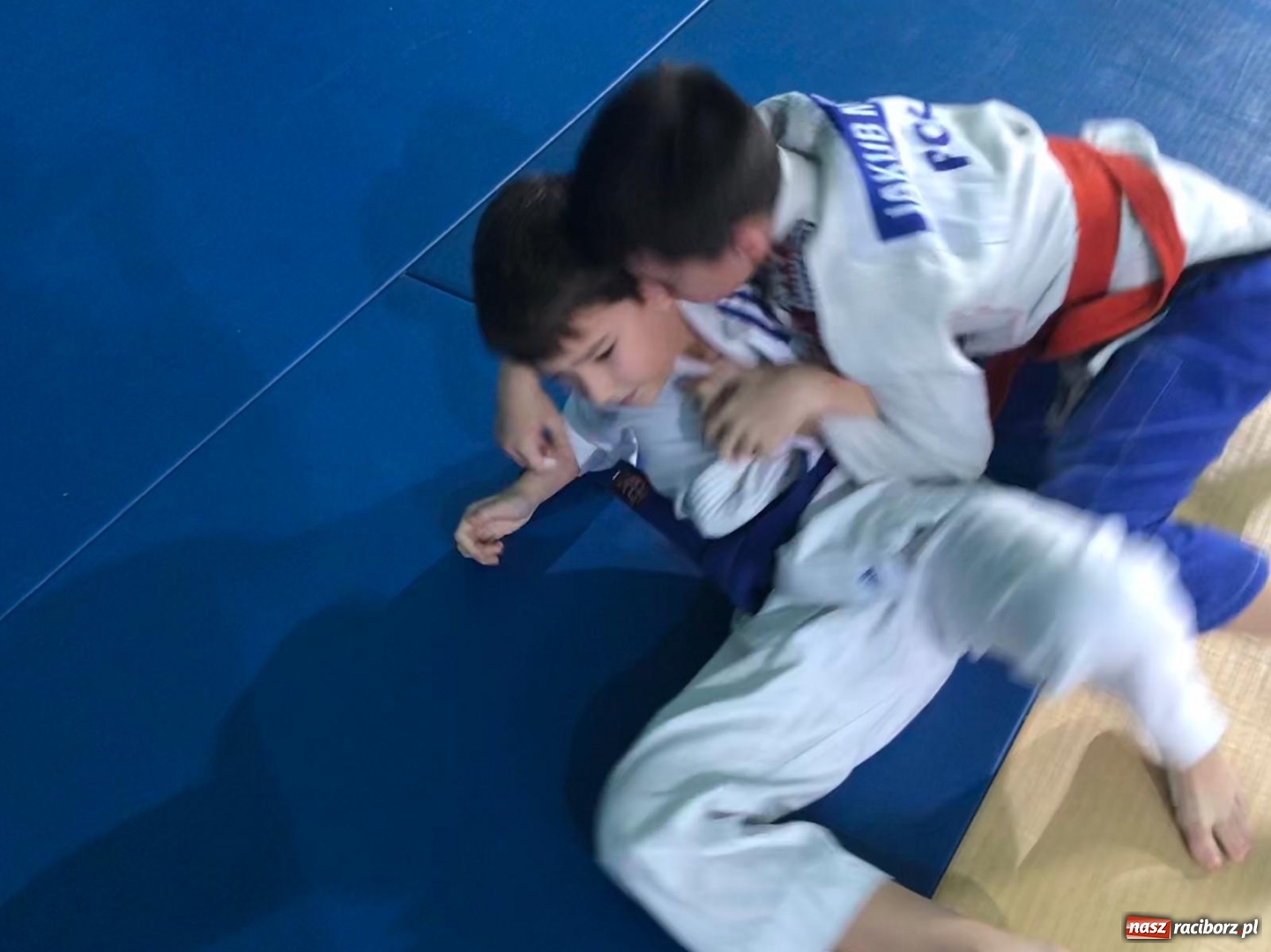 Zdjęcie w galerii na portalu naszraciborz.pl: Dziewięć medali Łamatorów w Mysłowicach wiadomości z regionu