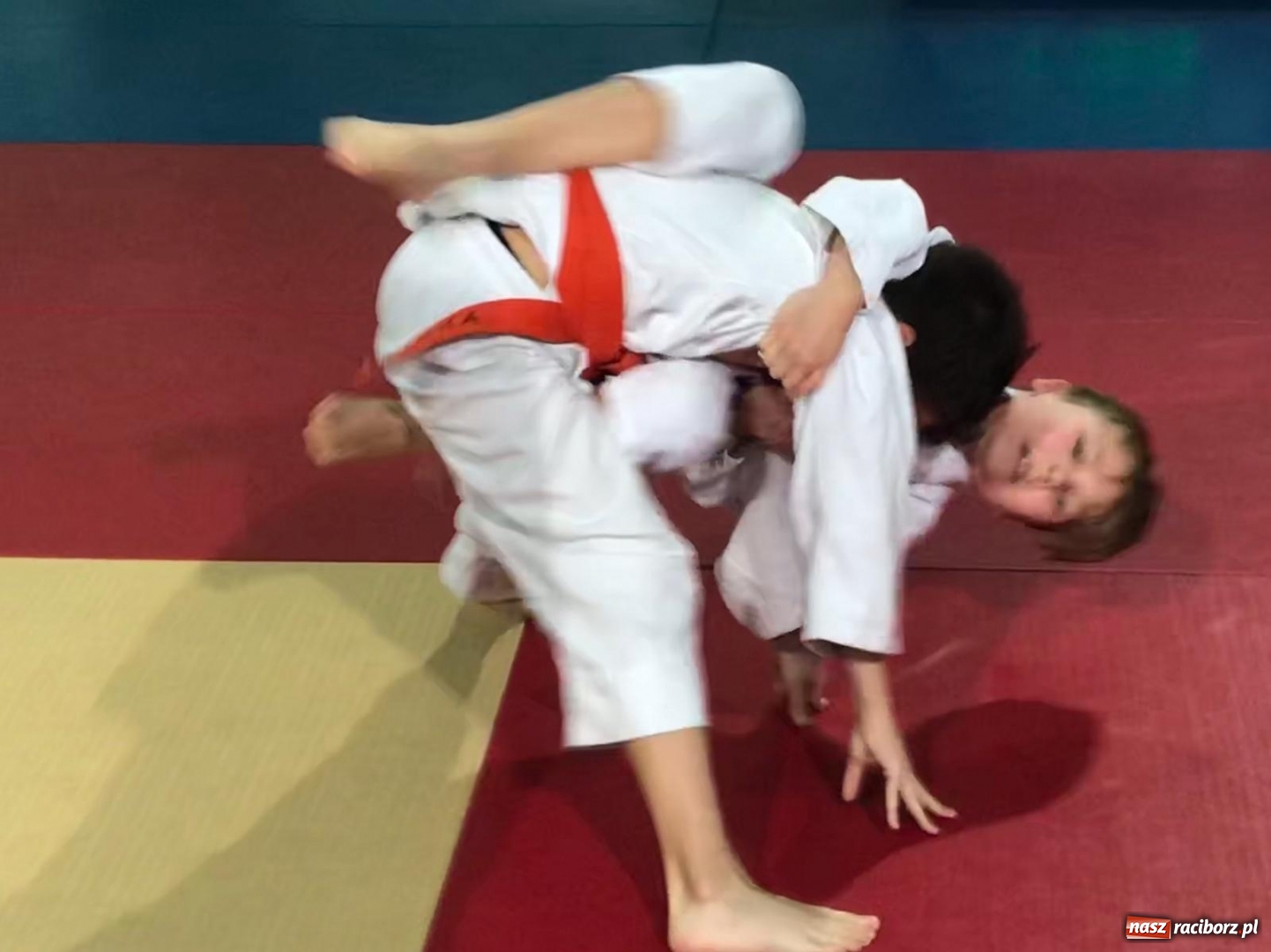 Zdjęcie w galerii na portalu naszraciborz.pl: Dziewięć medali Łamatorów w Mysłowicach wiadomości z regionu