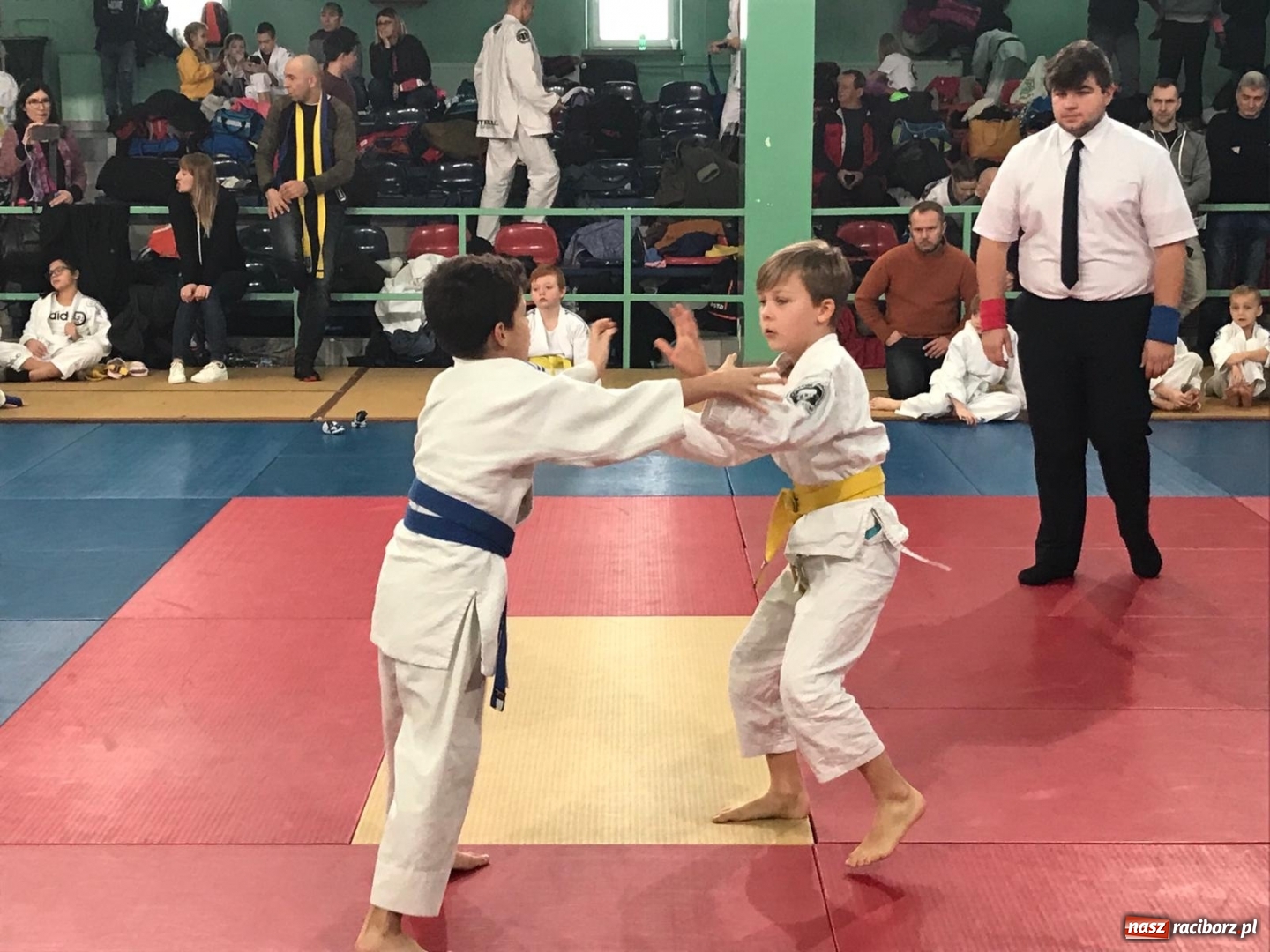 Zdjęcie w galerii na portalu naszraciborz.pl: Dziewięć medali Łamatorów w Mysłowicach wiadomości z regionu