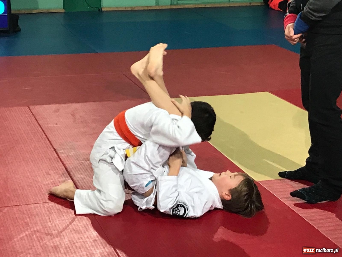 Zdjęcie w galerii na portalu naszraciborz.pl: Dziewięć medali Łamatorów w Mysłowicach wiadomości z regionu