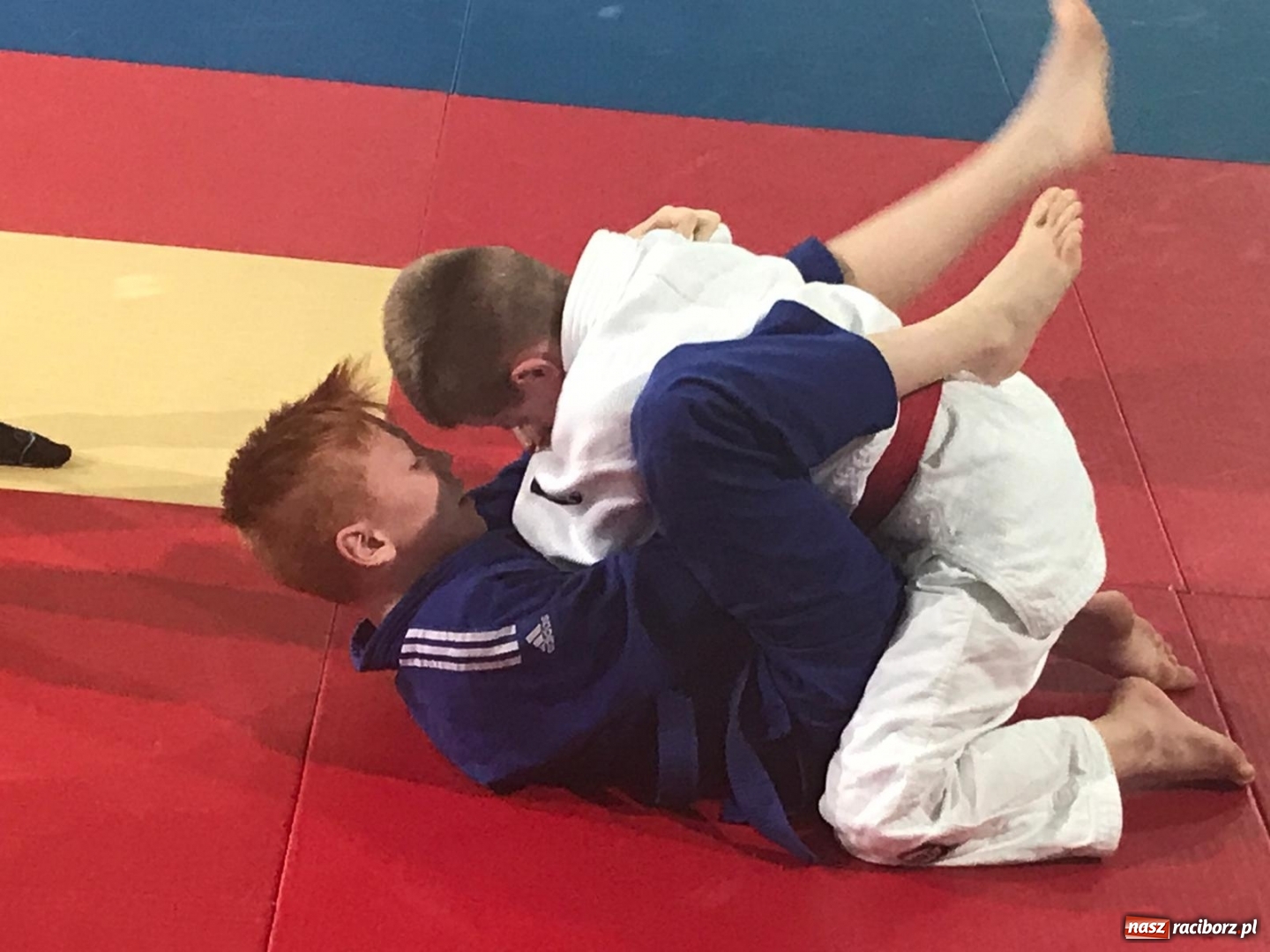 Zdjęcie w galerii na portalu naszraciborz.pl: Dziewięć medali Łamatorów w Mysłowicach wiadomości z regionu