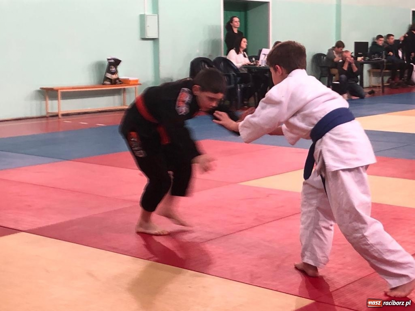 Zdjęcie w galerii na portalu naszraciborz.pl: Dziewięć medali Łamatorów w Mysłowicach wiadomości z regionu