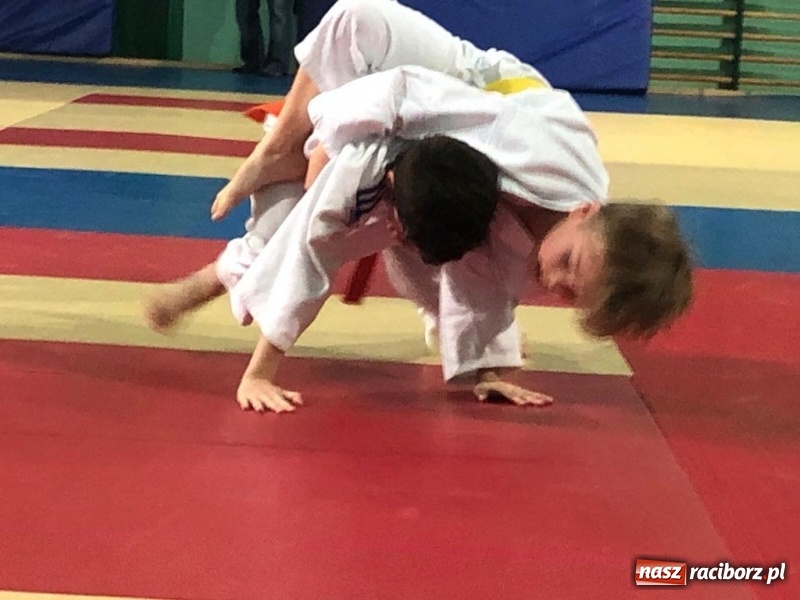 Zdjęcie w galerii na portalu naszraciborz.pl: Dziewięć medali Łamatorów w Mysłowicach wiadomości z regionu