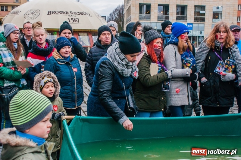 Zdjęcie w galerii na portalu naszraciborz.pl: Wielka Orkiestra Świątecznej Pomocy rozgrzewała na Rynku  wiadomości z regionu