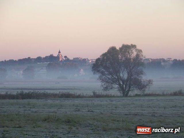 Zdjęcie w galerii na portalu naszraciborz.pl: Gmina w obiektywie wiadomości z regionu
