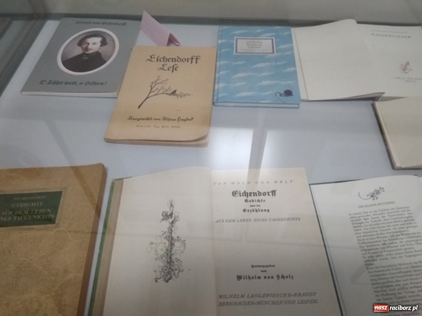 Zdjęcie w galerii na portalu naszraciborz.pl: Z Ostroga do Łubowic. Zimowe spotkanie z poetą  wiadomości z regionu
