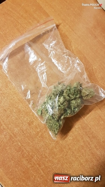 Zdjęcie w galerii na portalu naszraciborz.pl: Na widok policjantów próbował odjechać. Miał w aucie narkotyki FOTO wiadomości z regionu