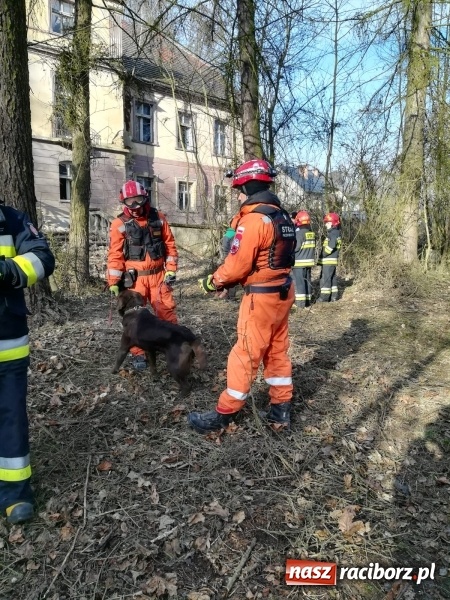 Zdjęcie w galerii na portalu naszraciborz.pl: Katastrofa budowlana w Rudniku. Runęła ściana frontowa pałacu. Strażacy przeszukują ruiny  wiadomości z regionu