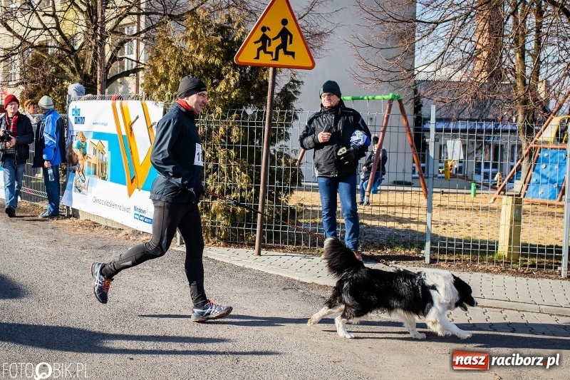 Zdjęcie w galerii na portalu naszraciborz.pl: VII Eko-Okna Cross po Ziemi Pietrowickiej. Na trasie prawie 300 biegaczy wiadomości z regionu