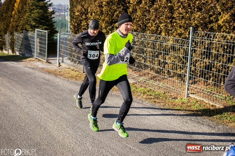 Zdjęcie w galerii na portalu naszraciborz.pl: VII Eko-Okna Cross po Ziemi Pietrowickiej. Na trasie prawie 300 biegaczy wiadomości z regionu