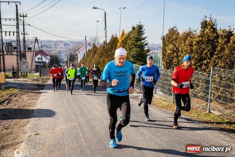 Zdjęcie w galerii na portalu naszraciborz.pl: VII Eko-Okna Cross po Ziemi Pietrowickiej. Na trasie prawie 300 biegaczy wiadomości z regionu