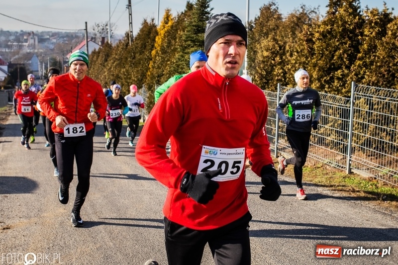 Zdjęcie w galerii na portalu naszraciborz.pl: VII Eko-Okna Cross po Ziemi Pietrowickiej. Na trasie prawie 300 biegaczy wiadomości z regionu
