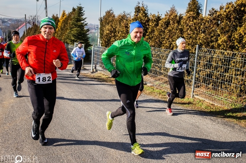 Zdjęcie w galerii na portalu naszraciborz.pl: VII Eko-Okna Cross po Ziemi Pietrowickiej. Na trasie prawie 300 biegaczy wiadomości z regionu
