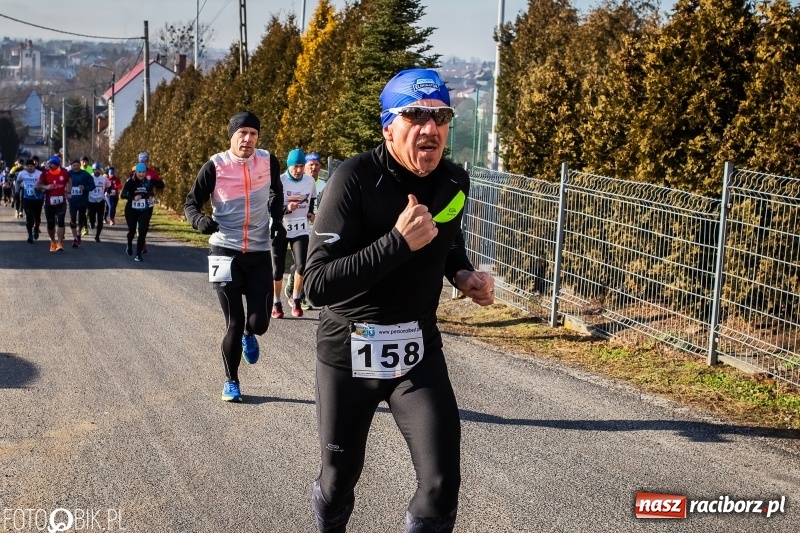 Zdjęcie w galerii na portalu naszraciborz.pl: VII Eko-Okna Cross po Ziemi Pietrowickiej. Na trasie prawie 300 biegaczy wiadomości z regionu
