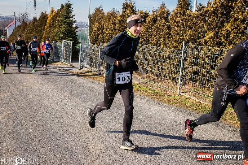 Zdjęcie w galerii na portalu naszraciborz.pl: VII Eko-Okna Cross po Ziemi Pietrowickiej. Na trasie prawie 300 biegaczy wiadomości z regionu