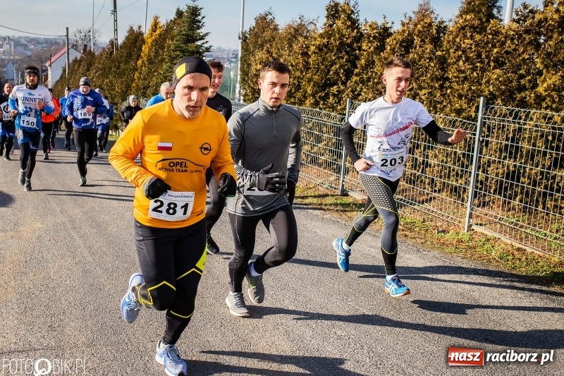 Zdjęcie w galerii na portalu naszraciborz.pl: VII Eko-Okna Cross po Ziemi Pietrowickiej. Na trasie prawie 300 biegaczy wiadomości z regionu