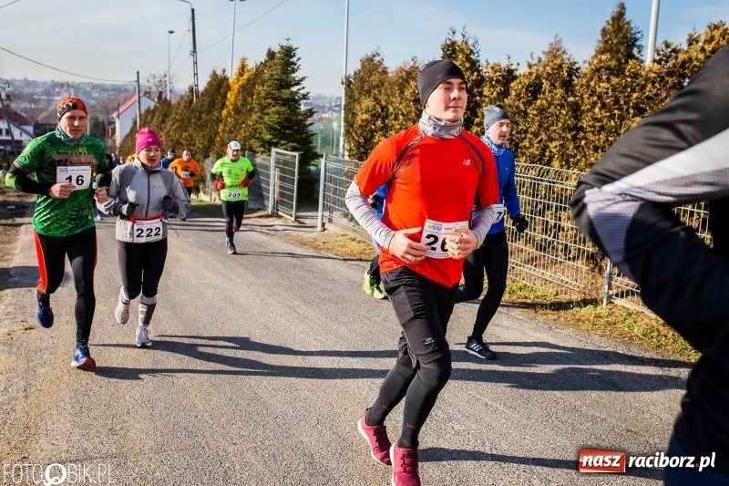 Zdjęcie w galerii na portalu naszraciborz.pl: VII Eko-Okna Cross po Ziemi Pietrowickiej. Na trasie prawie 300 biegaczy wiadomości z regionu