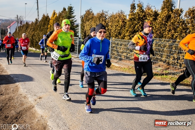 Zdjęcie w galerii na portalu naszraciborz.pl: VII Eko-Okna Cross po Ziemi Pietrowickiej. Na trasie prawie 300 biegaczy wiadomości z regionu