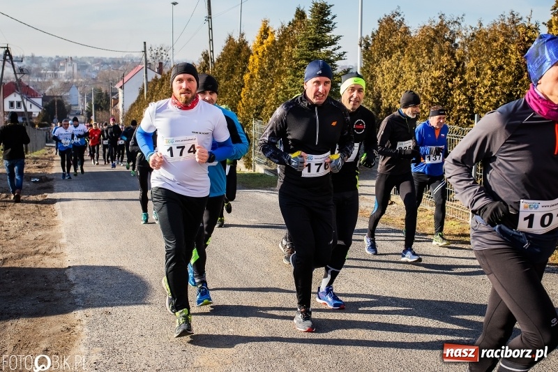 Zdjęcie w galerii na portalu naszraciborz.pl: VII Eko-Okna Cross po Ziemi Pietrowickiej. Na trasie prawie 300 biegaczy wiadomości z regionu