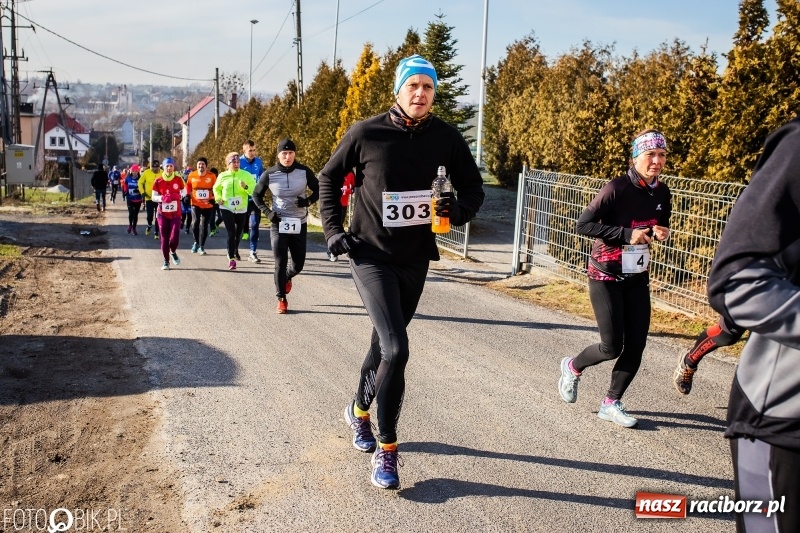 Zdjęcie w galerii na portalu naszraciborz.pl: VII Eko-Okna Cross po Ziemi Pietrowickiej. Na trasie prawie 300 biegaczy wiadomości z regionu
