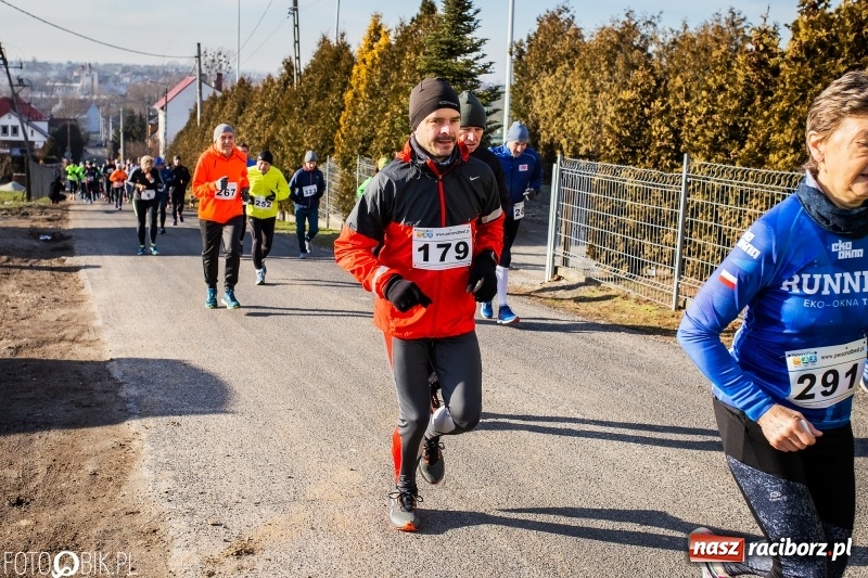 Zdjęcie w galerii na portalu naszraciborz.pl: VII Eko-Okna Cross po Ziemi Pietrowickiej. Na trasie prawie 300 biegaczy wiadomości z regionu