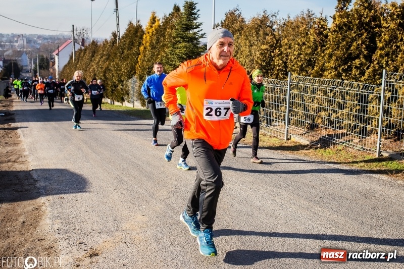 Zdjęcie w galerii na portalu naszraciborz.pl: VII Eko-Okna Cross po Ziemi Pietrowickiej. Na trasie prawie 300 biegaczy wiadomości z regionu