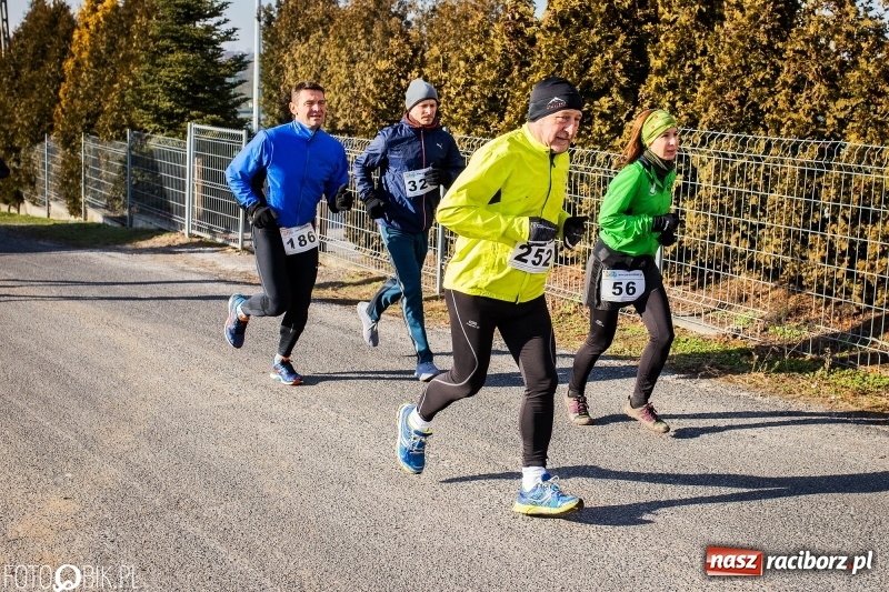 Zdjęcie w galerii na portalu naszraciborz.pl: VII Eko-Okna Cross po Ziemi Pietrowickiej. Na trasie prawie 300 biegaczy wiadomości z regionu