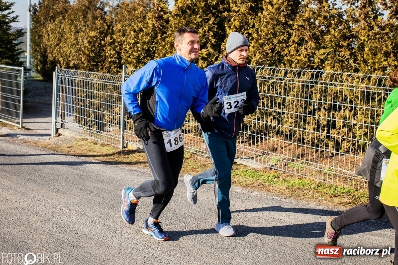 Zdjęcie w galerii na portalu naszraciborz.pl: VII Eko-Okna Cross po Ziemi Pietrowickiej. Na trasie prawie 300 biegaczy wiadomości z regionu