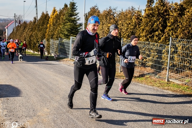 Zdjęcie w galerii na portalu naszraciborz.pl: VII Eko-Okna Cross po Ziemi Pietrowickiej. Na trasie prawie 300 biegaczy wiadomości z regionu