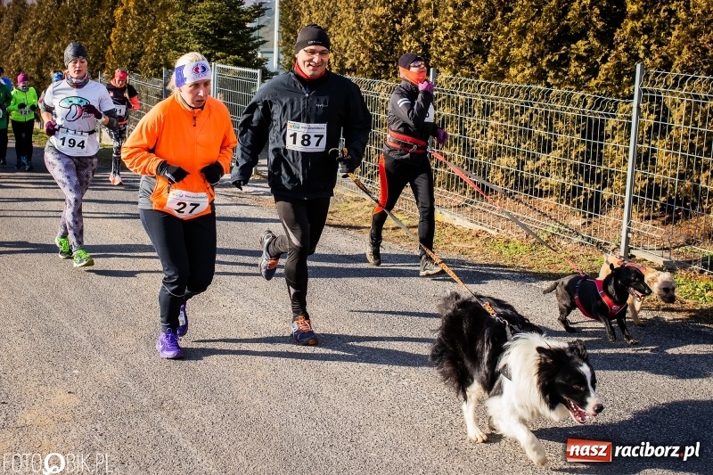 Zdjęcie w galerii na portalu naszraciborz.pl: VII Eko-Okna Cross po Ziemi Pietrowickiej. Na trasie prawie 300 biegaczy wiadomości z regionu