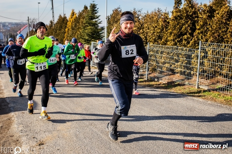 Zdjęcie w galerii na portalu naszraciborz.pl: VII Eko-Okna Cross po Ziemi Pietrowickiej. Na trasie prawie 300 biegaczy wiadomości z regionu