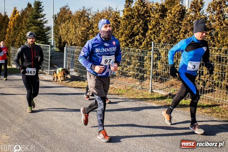Zdjęcie w galerii na portalu naszraciborz.pl: VII Eko-Okna Cross po Ziemi Pietrowickiej. Na trasie prawie 300 biegaczy wiadomości z regionu