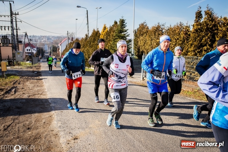 Zdjęcie w galerii na portalu naszraciborz.pl: VII Eko-Okna Cross po Ziemi Pietrowickiej. Na trasie prawie 300 biegaczy wiadomości z regionu