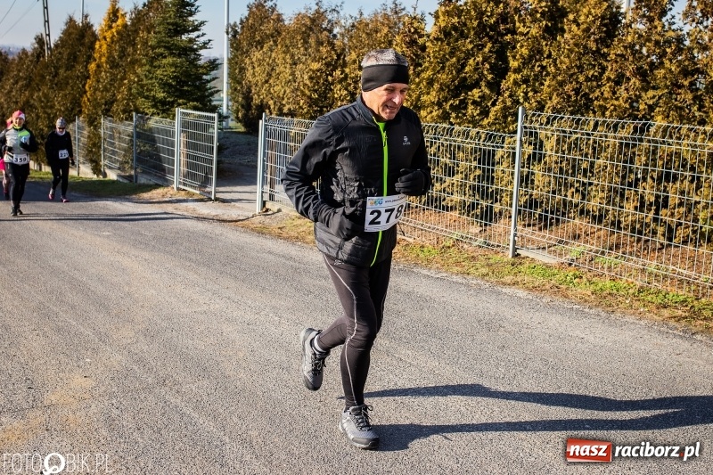 Zdjęcie w galerii na portalu naszraciborz.pl: VII Eko-Okna Cross po Ziemi Pietrowickiej. Na trasie prawie 300 biegaczy wiadomości z regionu