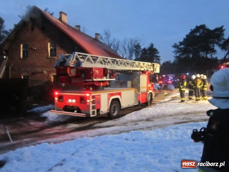 Zdjęcie w galerii na portalu naszraciborz.pl: Trudna akcja gaśnicza w Rudach. Groził wybuch butli z gazem  wiadomości z regionu