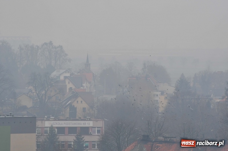 Zdjęcie w galerii na portalu naszraciborz.pl: Zostańcie w domu. Fatalna jakość powietrza. Tak to wygląda z okien wieżowca  wiadomości z regionu