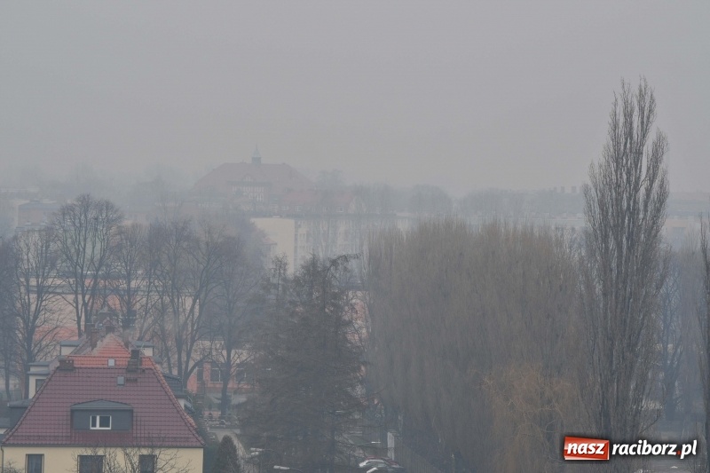 Zdjęcie w galerii na portalu naszraciborz.pl: Zostańcie w domu. Fatalna jakość powietrza. Tak to wygląda z okien wieżowca  wiadomości z regionu