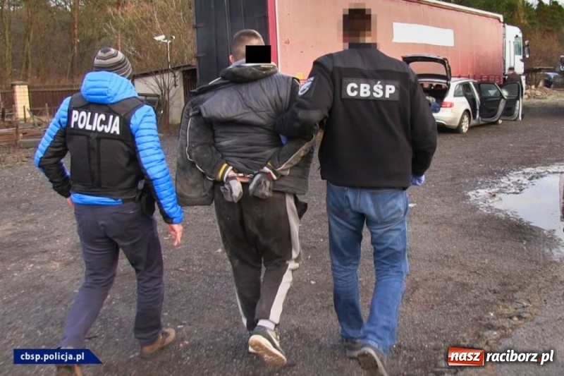Zdjęcie w galerii na portalu naszraciborz.pl: Rozbito gang okradający tiry. Działał metodą na plandekę! FOTO i WIDEO wiadomości z regionu