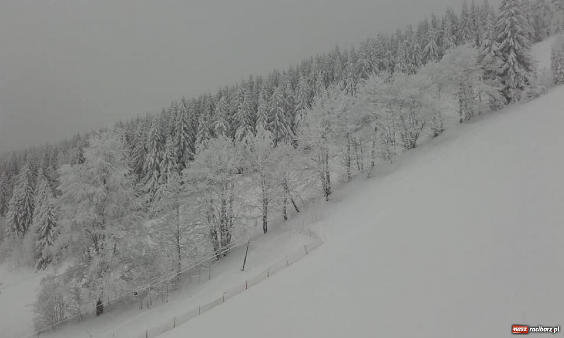 Zdjęcie w galerii na portalu naszraciborz.pl: II LO szusuje w najlepsze! - relacja uczniów  wiadomości z regionu