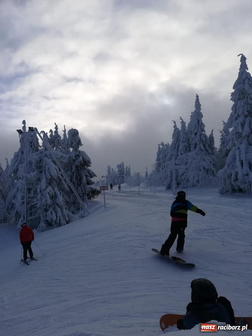 Zdjęcie w galerii na portalu naszraciborz.pl: II LO szusuje w najlepsze! - relacja uczniów  wiadomości z regionu